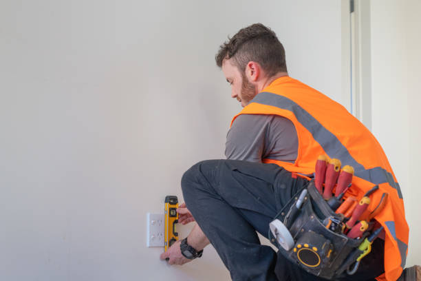Best Electric Panel Repair  in Baldwin City, KS