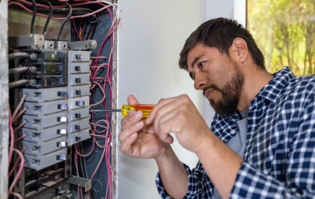 Best Electrical System Inspection  in Baldwin City, KS